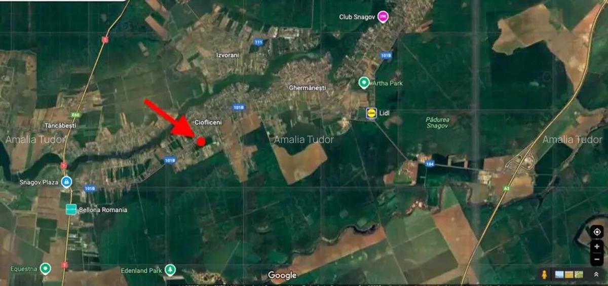 Teren 1.510mp la strada principala, dubla deschidere, Ciofliceni - Snagov! - 6