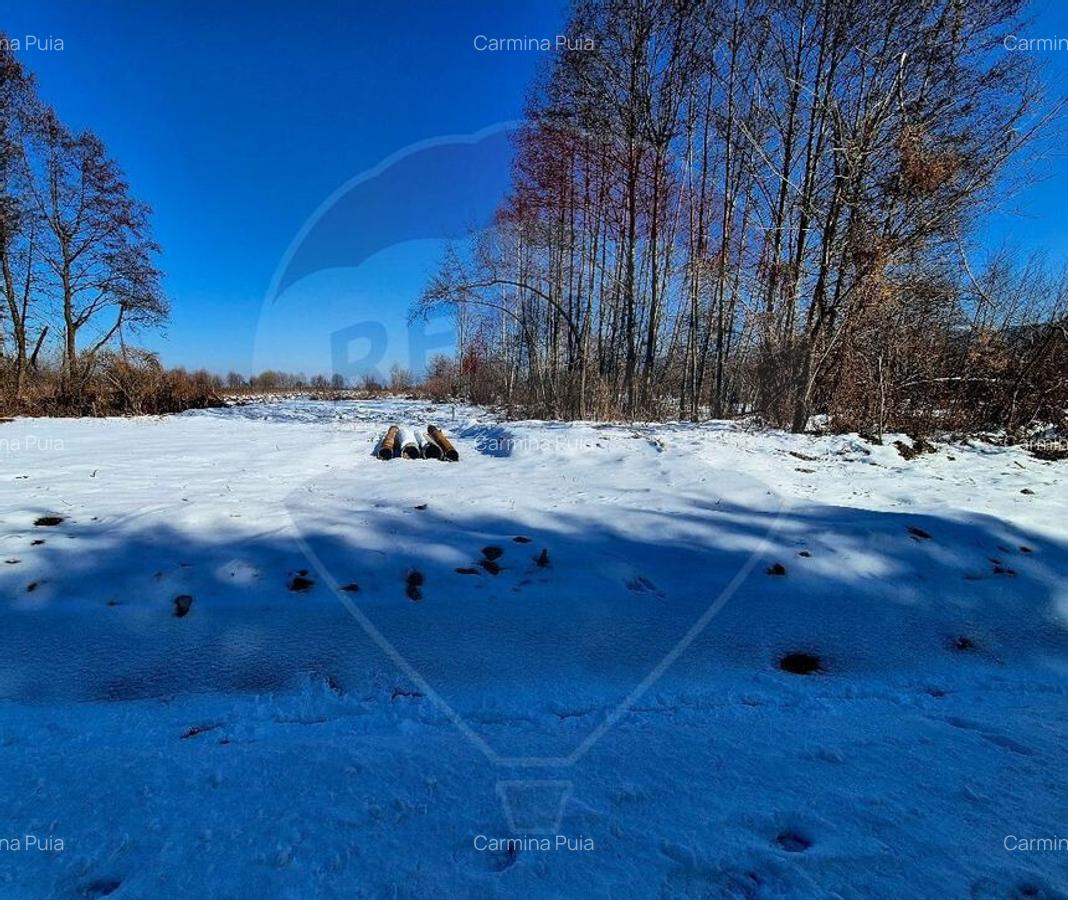 Comision 0 %/ Teren extravilan 3197 mp pitoresc/ Fagaras - 8