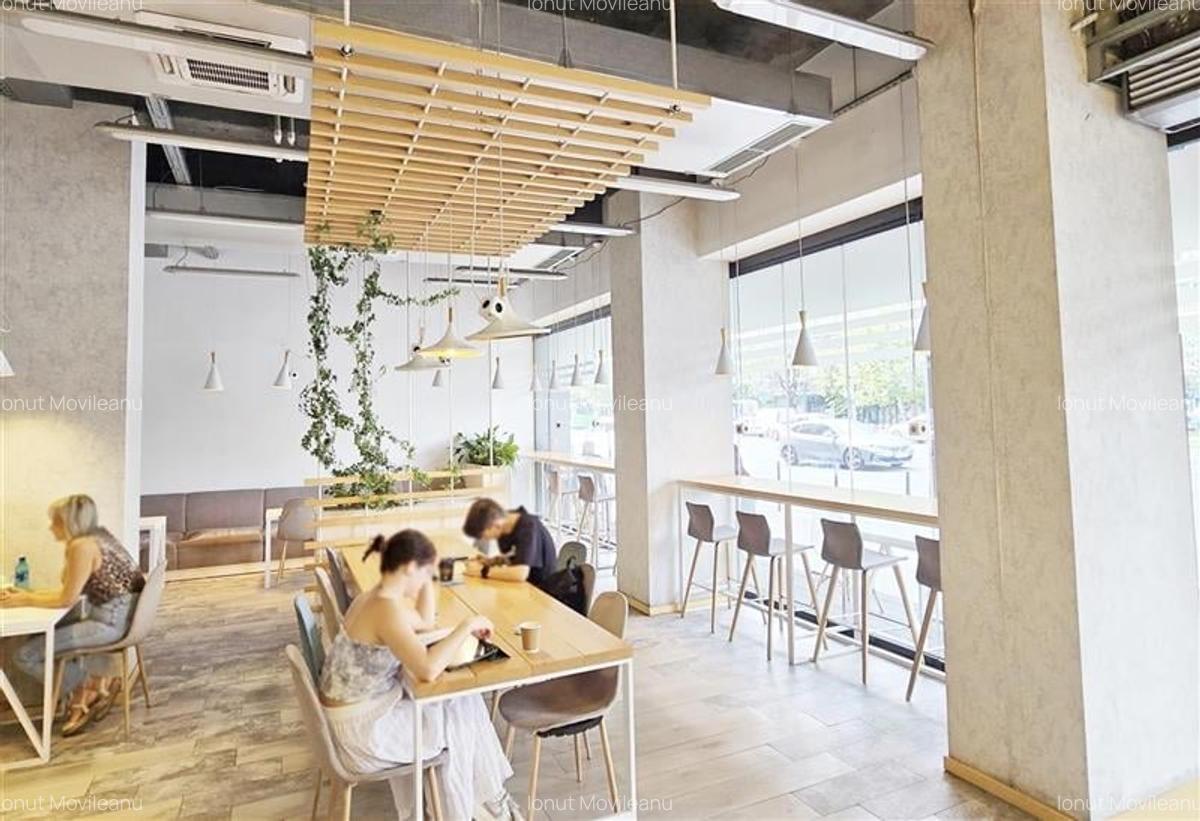 Spatiu comercial de inchiriat Bd Magheru - 3