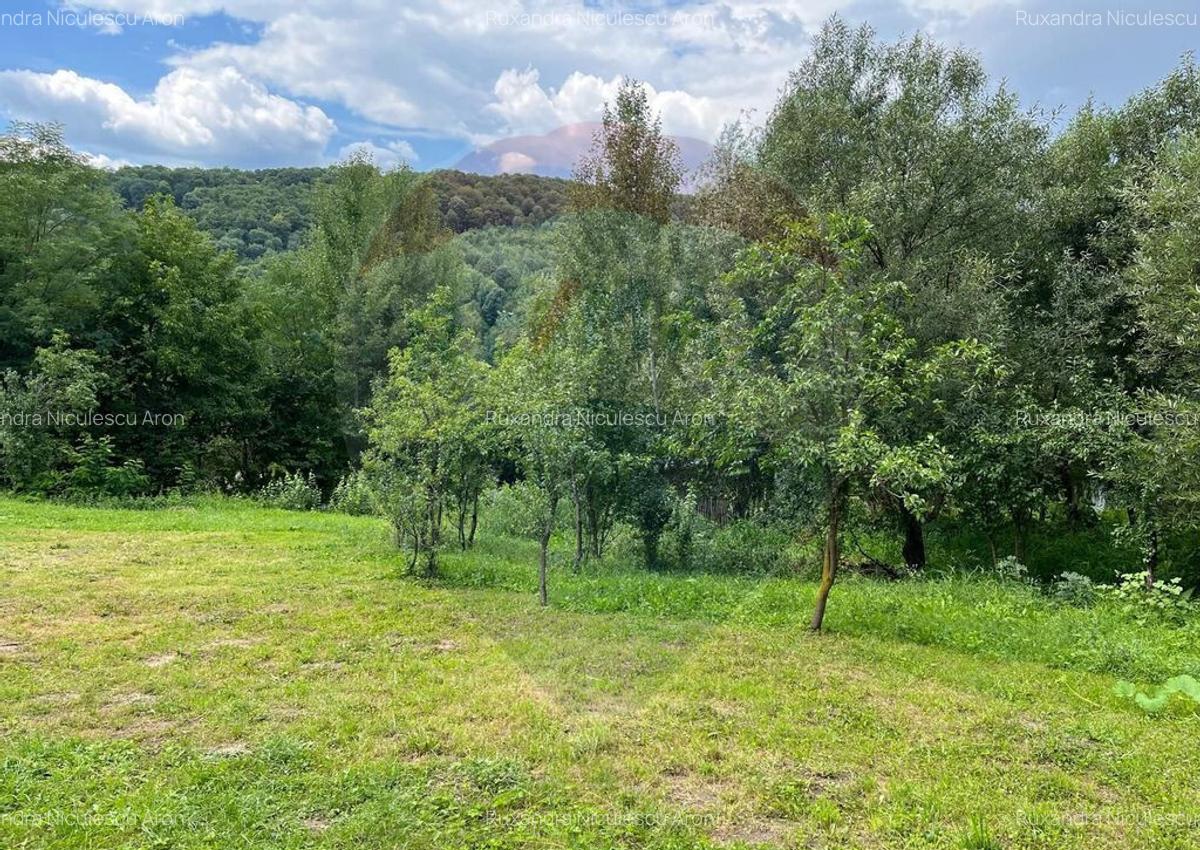 Teren intravilan (fanea?a) de vanzare 2231 mp, Te... - 7