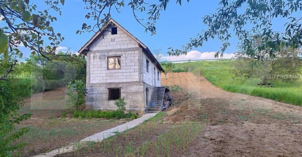 Casa de vanzare Aghire? - 2