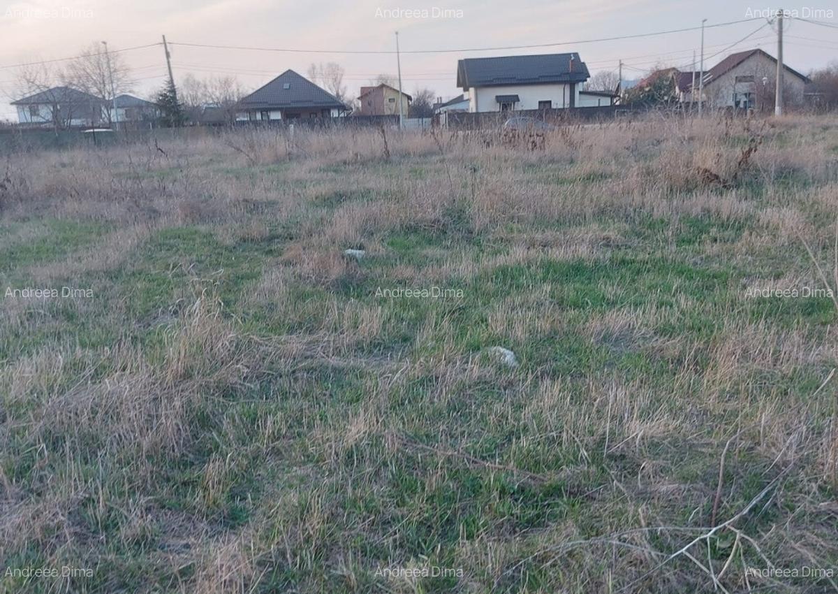 Teren intravilan Buftea - 3