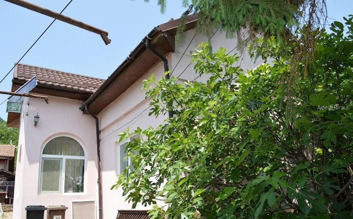 Stefanesti - Izvorani, casa 3 camere, teren 250 mp, beci - 4