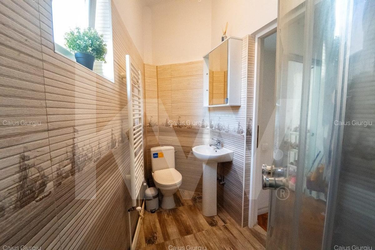 Casa pe un singur nivel cu 3 camere+pivnita. Pod si curte-Zona Sub Arini - 16