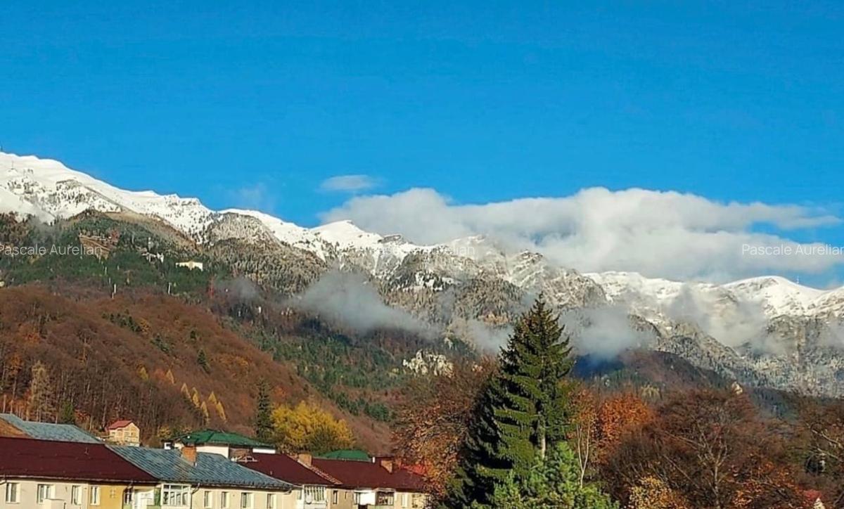 Studio Sinaia cu vedere spre munte - 1 Studio Sinaia cu vedere spre munte - 1