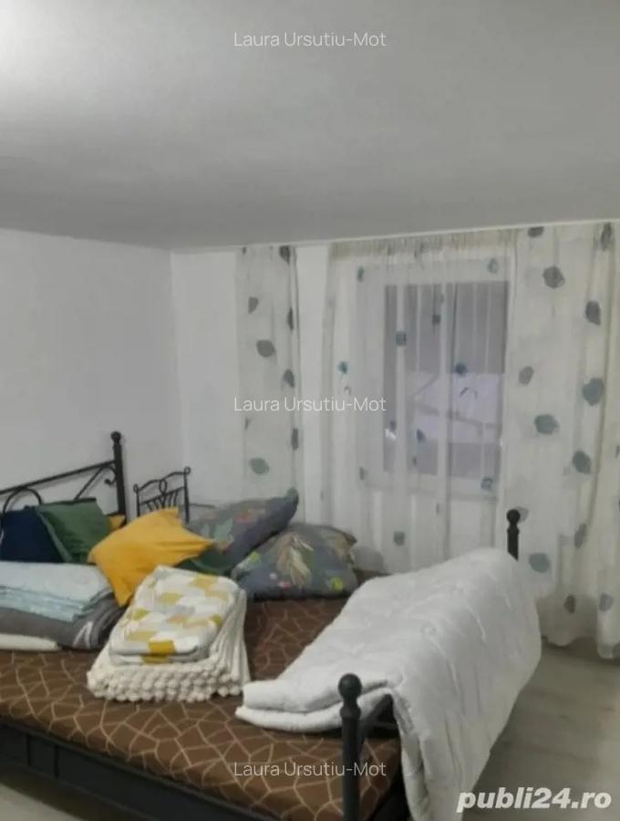 Casa in dealul Viilor Ineu - 4 Casa in dealul Viilor Ineu - 4