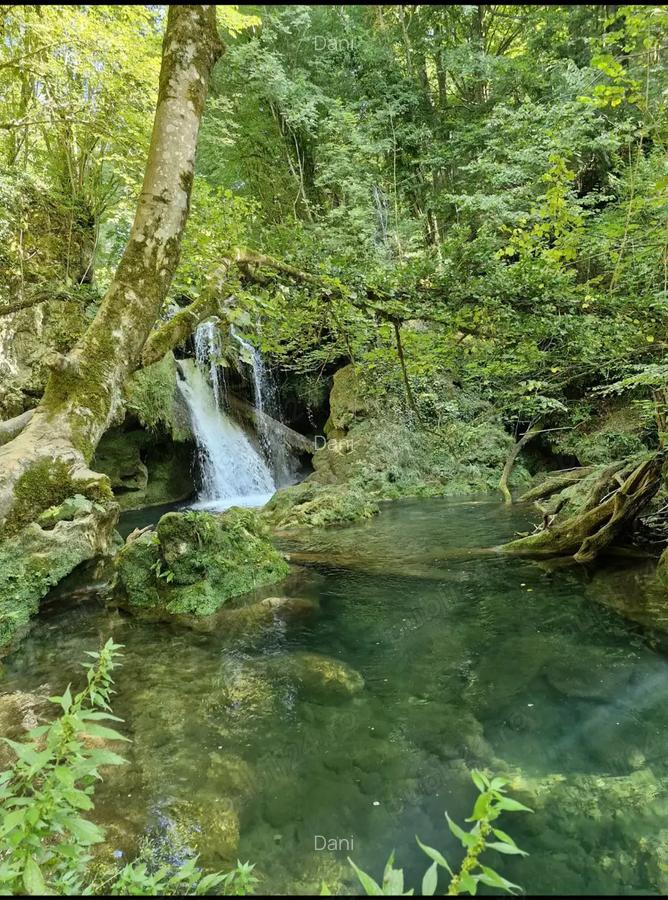 Casa tradi?ionala din piatra de vanzare, zona Cheile Nerei - 5