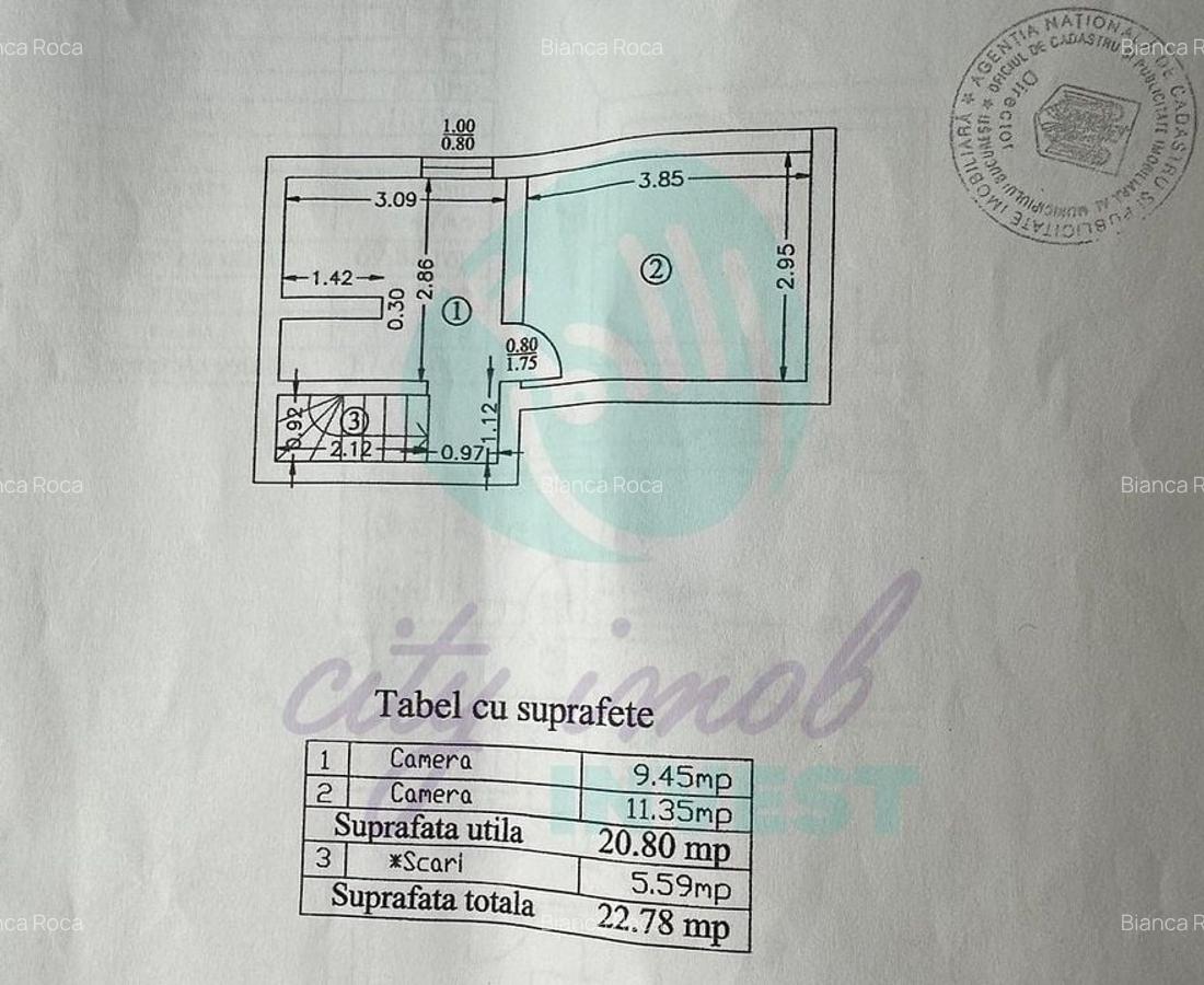 Casa in Vatra Luminoasa cu o curte generoasa - 14