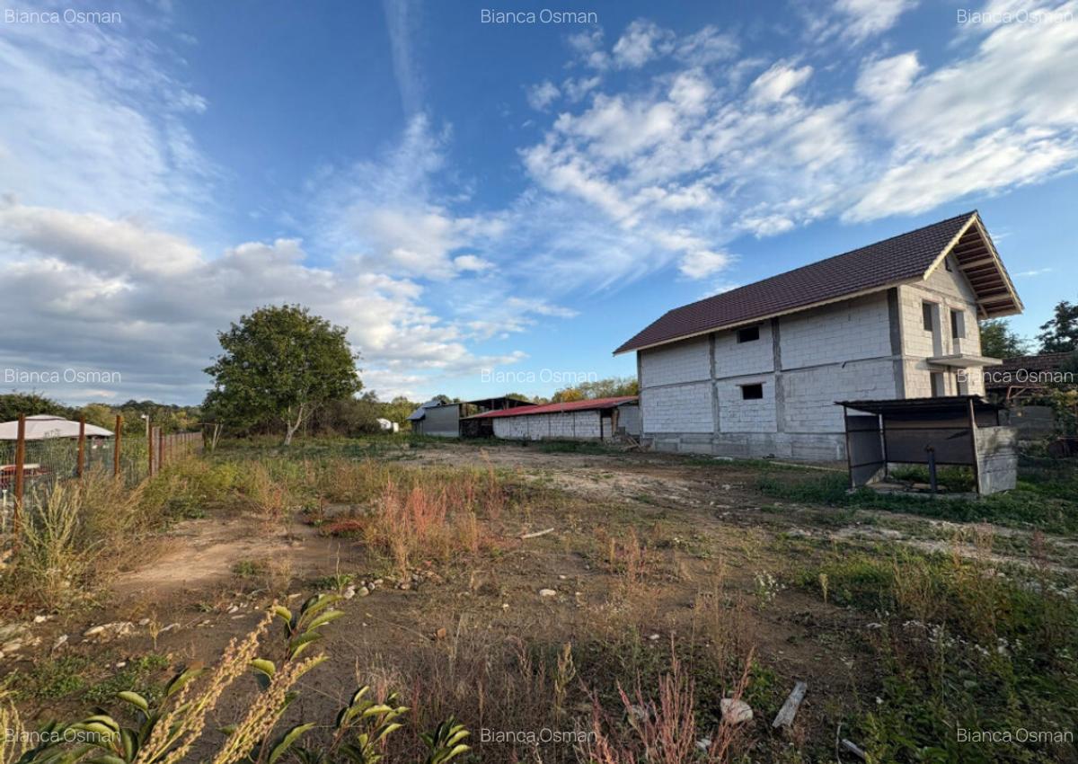 Teren 4449 mp cu utilitati, Curtisoara - la 13 km Tg. Jiu - 5