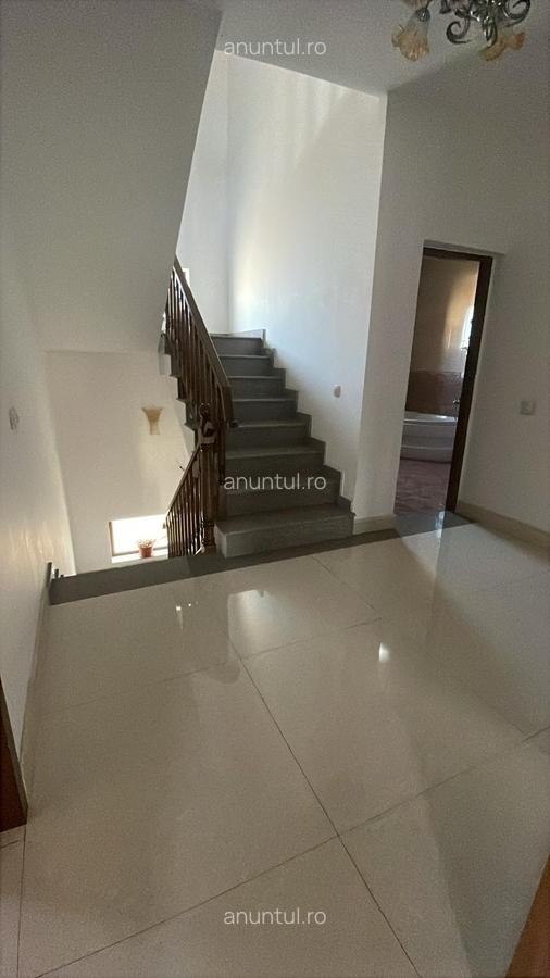 Colentina Fundeni Doinei - 15