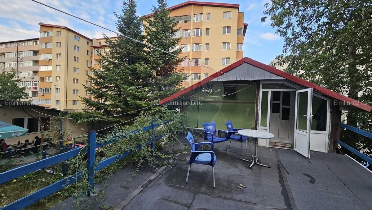 Casă individuală cu 4 camere în George Enescu - 10