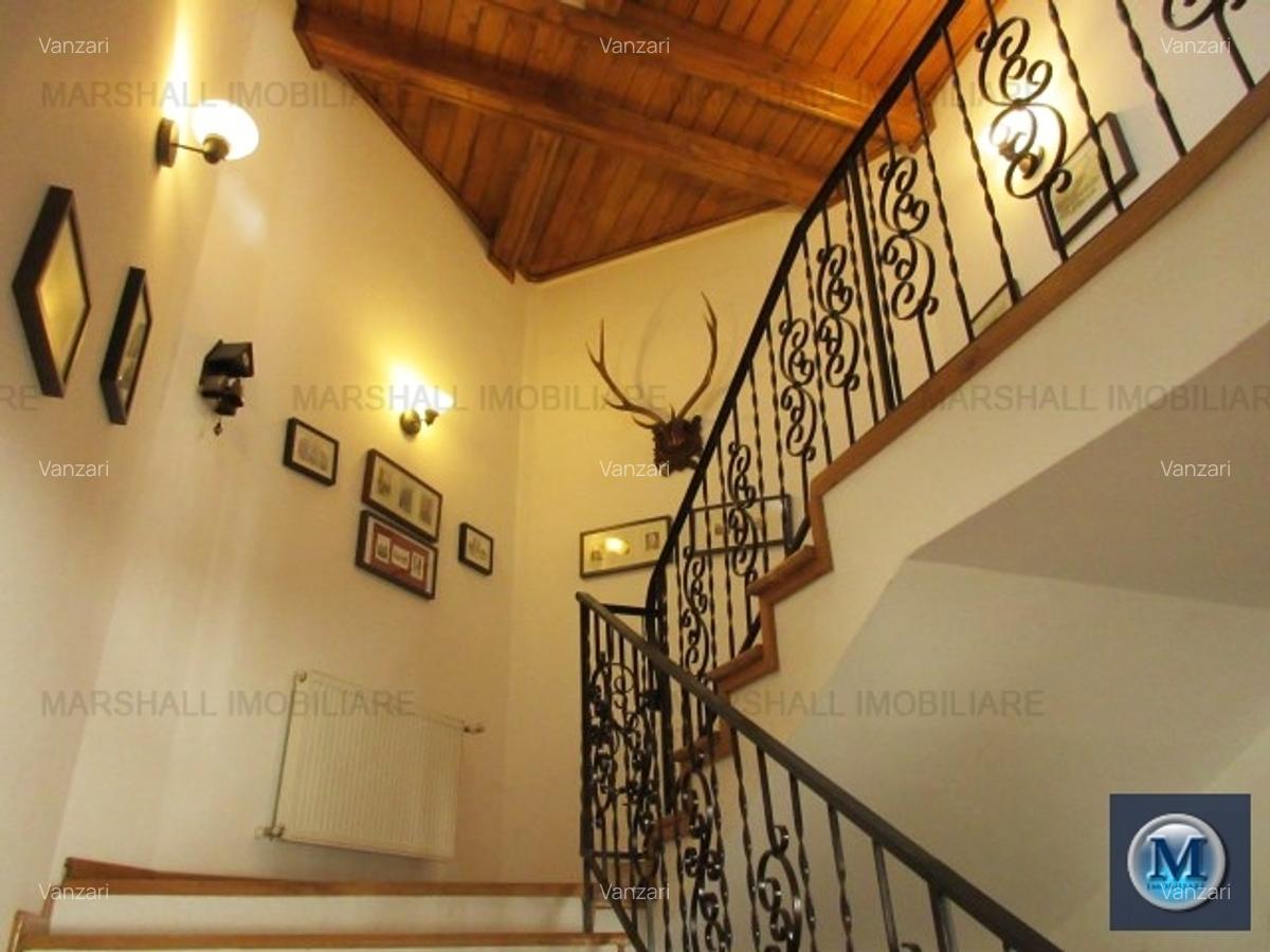 Vila cu 6 camere de vanzare, zona Albert, 355.63 mp #14354 - 11