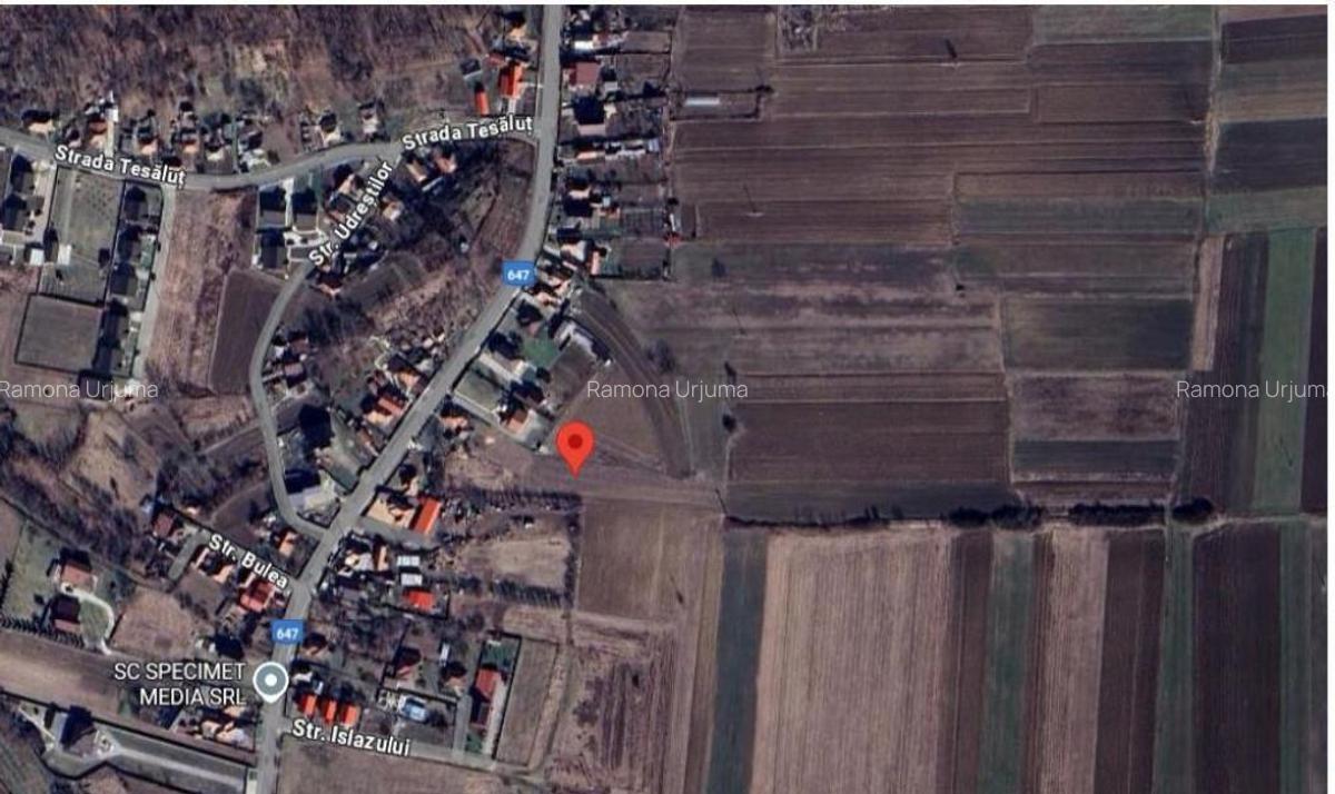 Cota de 1/2 din teren 2356 mp Com. Mihaesti, jud Valcea - 3 Cota de 1/2 din teren 2356 mp Com. Mihaesti, jud Valcea - 3