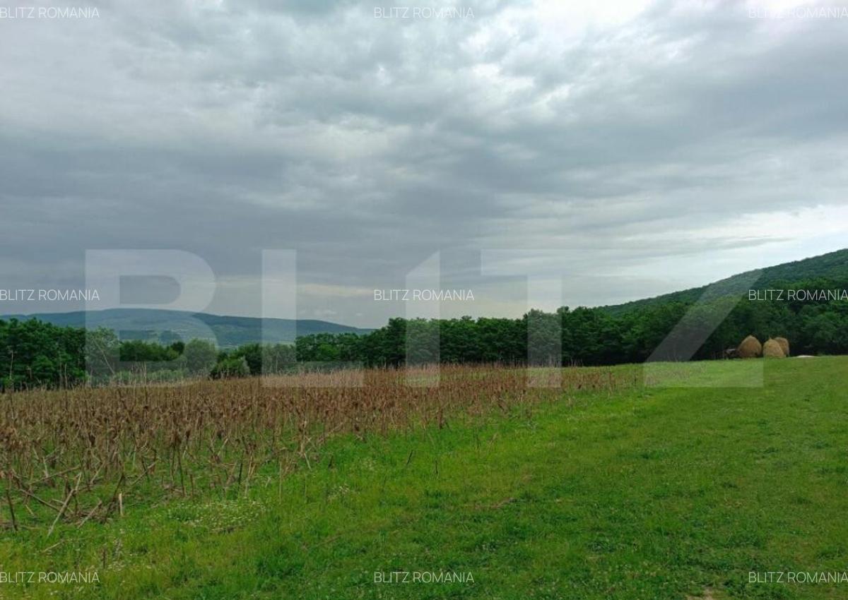 Teren pentru cabana /pensiune locatia perfecta pentru relaxa - 5