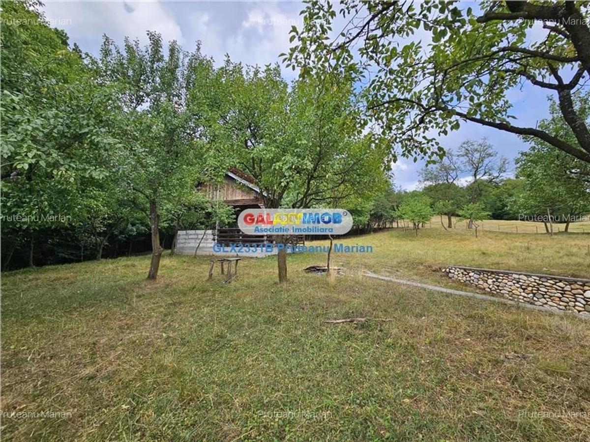 Vanzare teren 2680 m situat la Curtea de Arges cu iesire spre Transfag - 3