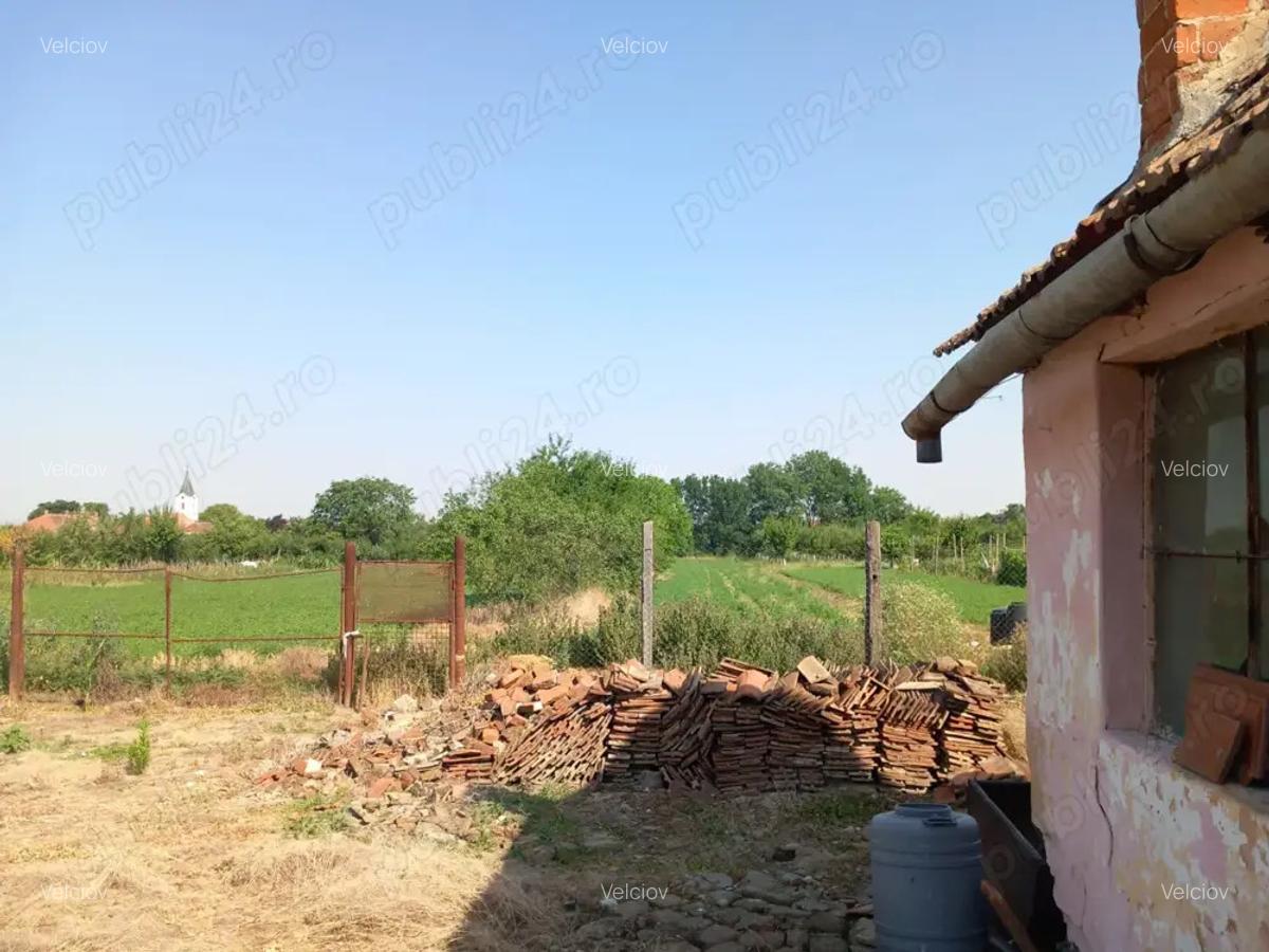 Casa batraneasca cu teren generos 2877 mp in satul Brestea (comuna Denta, jude?ul Timi?) - 3