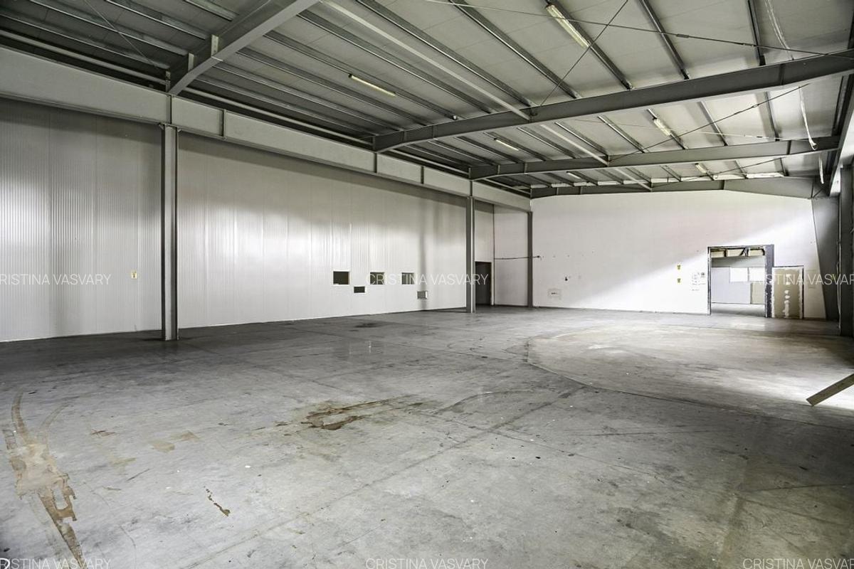 Hala industriala de inchiriat în Arad, 2.744 m², acces TIR și auto - 9