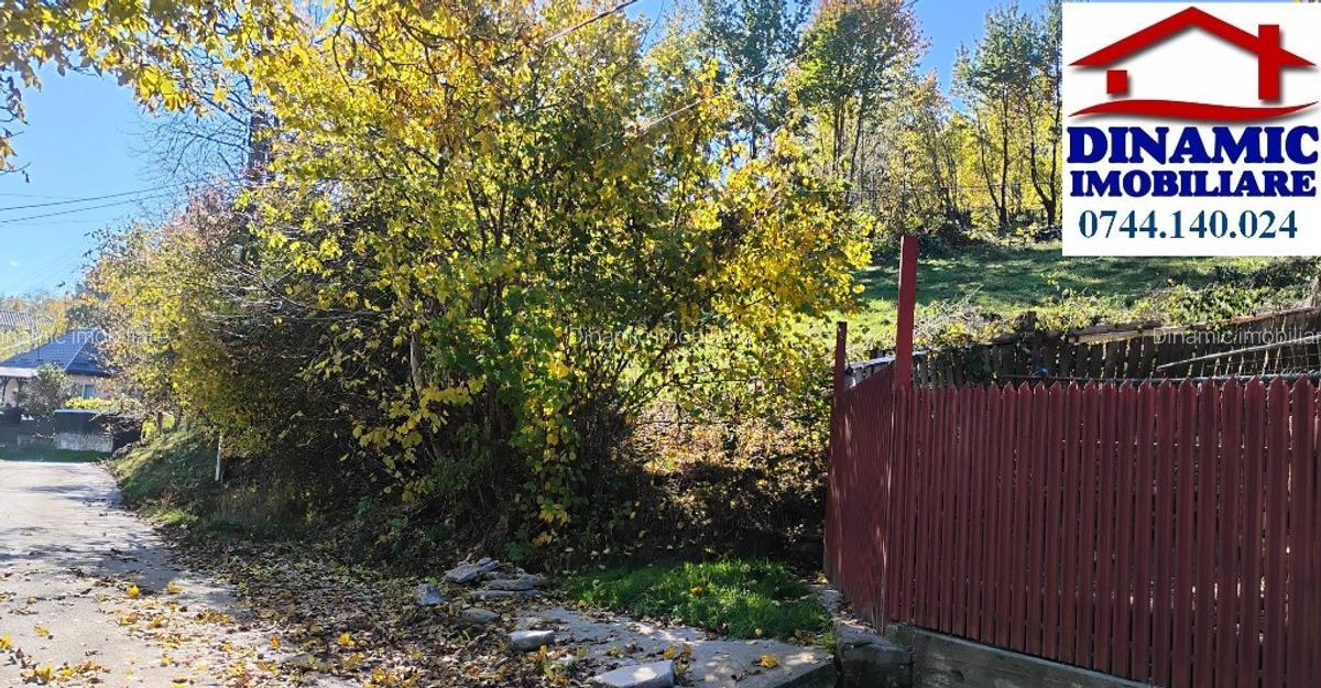 3600 mp teren intravilan, sat Bistrita, 16 Euro/mp - 7