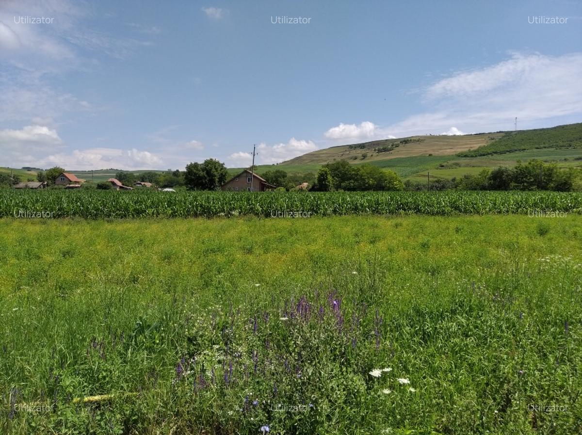 INTRAVILAN EXCEPTZIONAL - LIMITROF JUD. BISTRITZA, DUPA SARMASEL GARA - 5