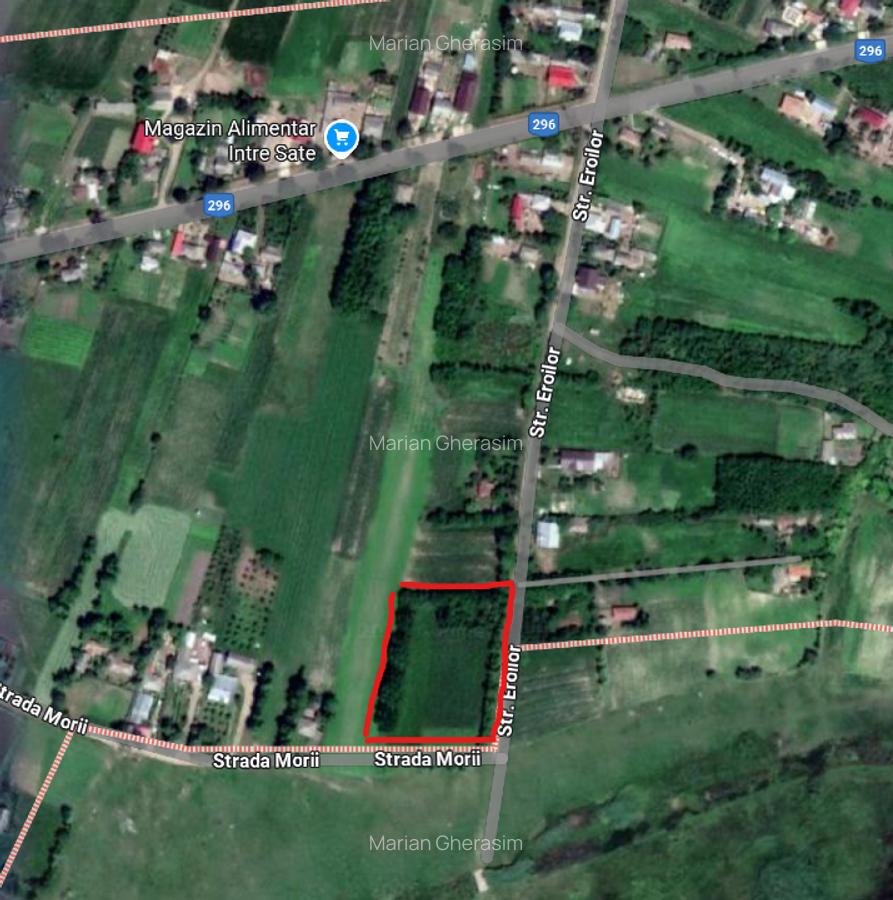 Teren intravilan deosebit - Roma, Botosani - 8