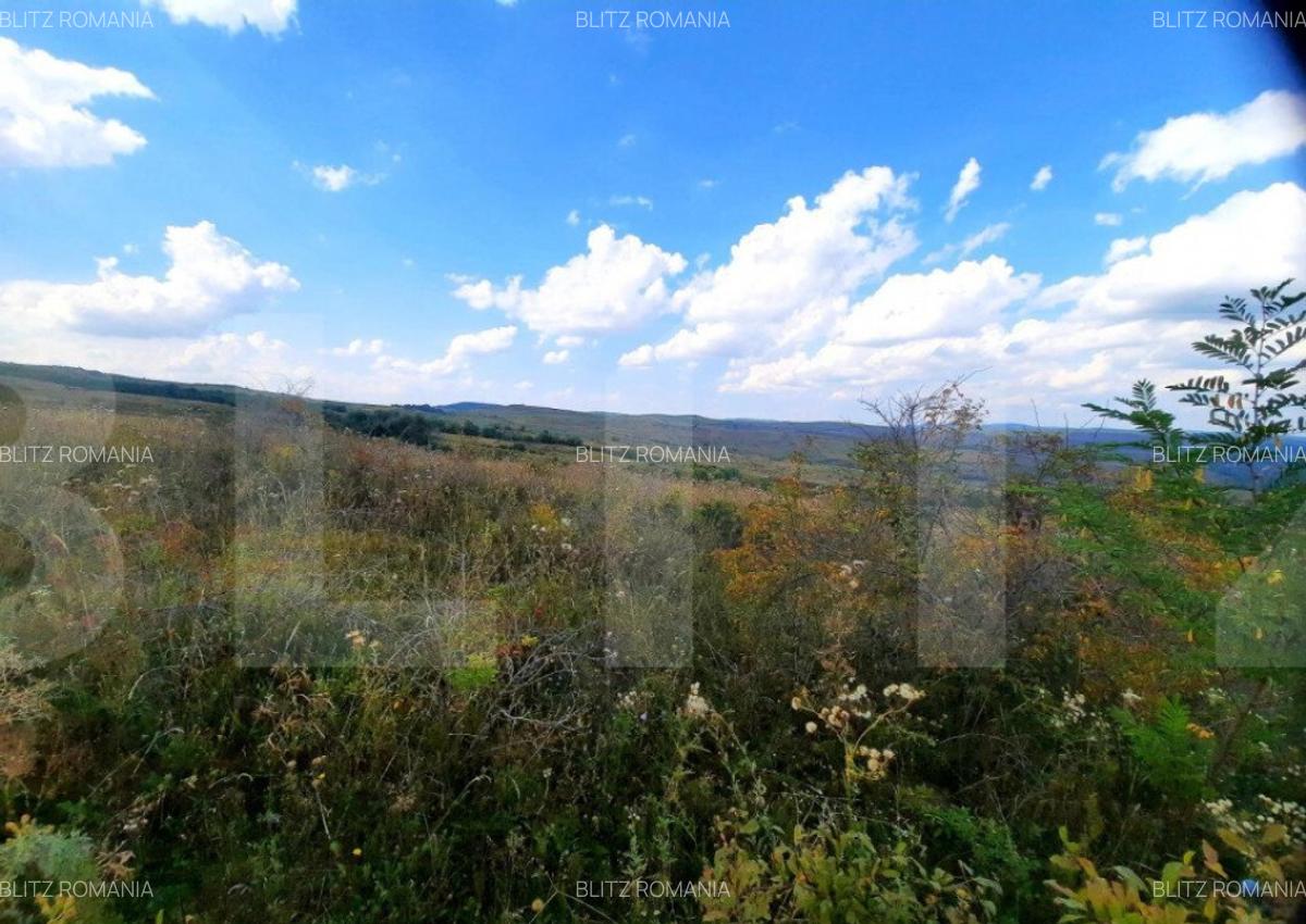 Teren intravilan de 5800 mp, situat in Padureni - 9