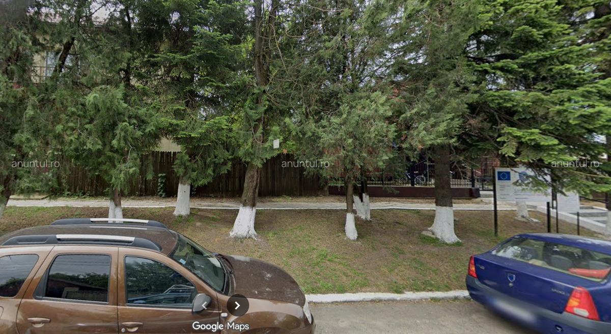 Calarasi valea argovei - 4 Calarasi valea argovei - 4