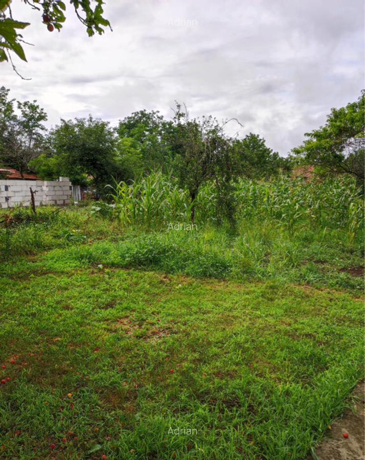 Casa si teren 826 mp Boldesti-Gradistea, Prahova, Str. Cameliei. - 2
