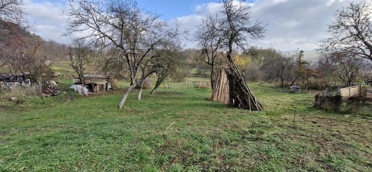 RECO Teren intravilan in Borod, Bihor 1750mp - 8