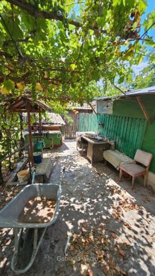 Casa la curte lângă balta Mostistea - 9