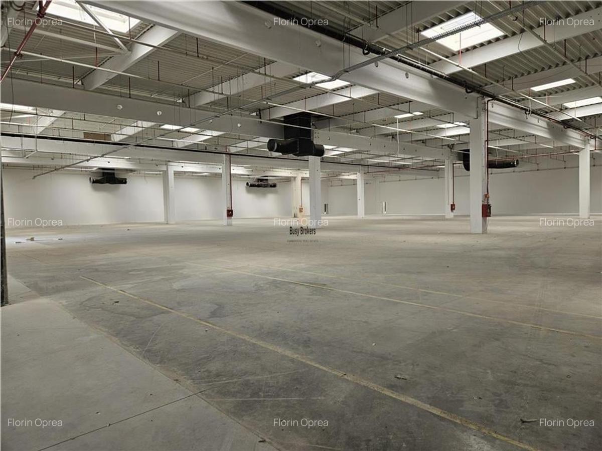 Spatiu Industrial - 3000 mp - Logistica - Productie - Depozitare - Distributie - 4