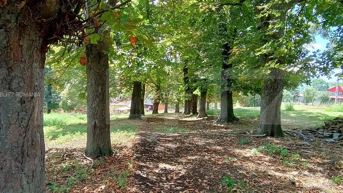 Cabana cu teren intravilan 18.449 mp - Paingeni | 7,5 EUR/mp | Vedere panoramica - 1