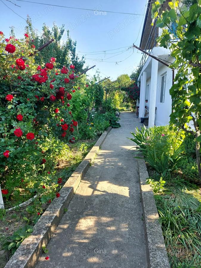 Casa Cataloi 2000 mp. - 6