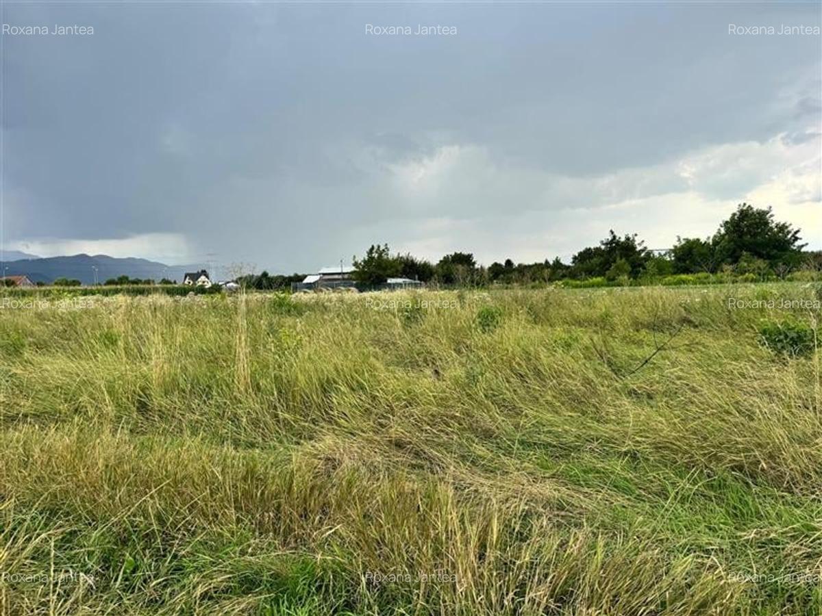 Teren intravilan 515 mp cu PUZ, Stupini, Brasov - 4