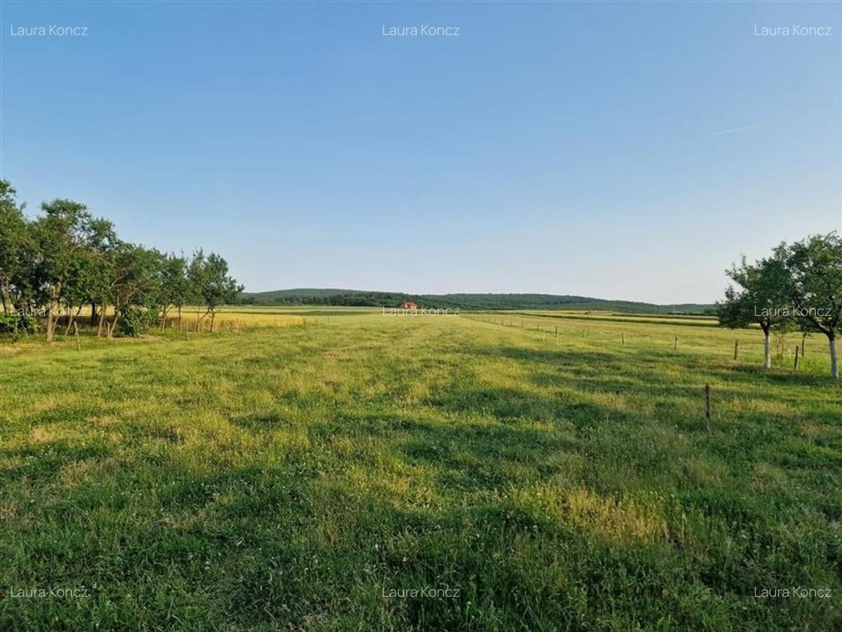 Teren Construcții intravilan de 500 mp, în Felcheriu - 2