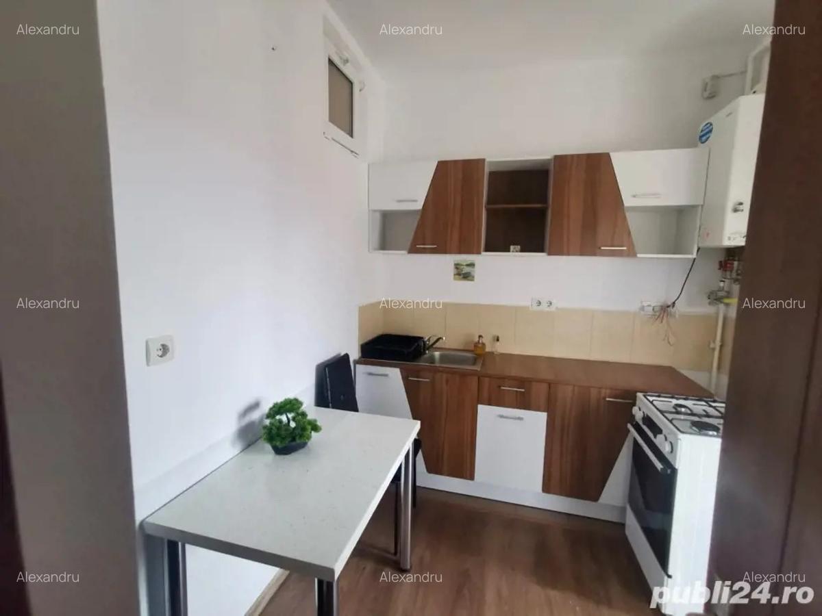Inchiriez apartament cu o camera in Turni?or ( Alma) - 2