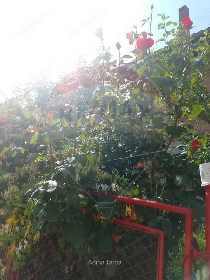 Casa langa Viscri de vanzare/schimb cu ap 2 cam Brasov - 18 Casa langa Viscri de vanzare/schimb cu ap 2 cam Brasov - 18