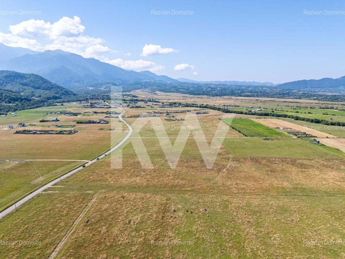 Teren : Parcele de 1.000 mp in Glajerie, Rasnov - comision 0% pentru cumparator! - 6