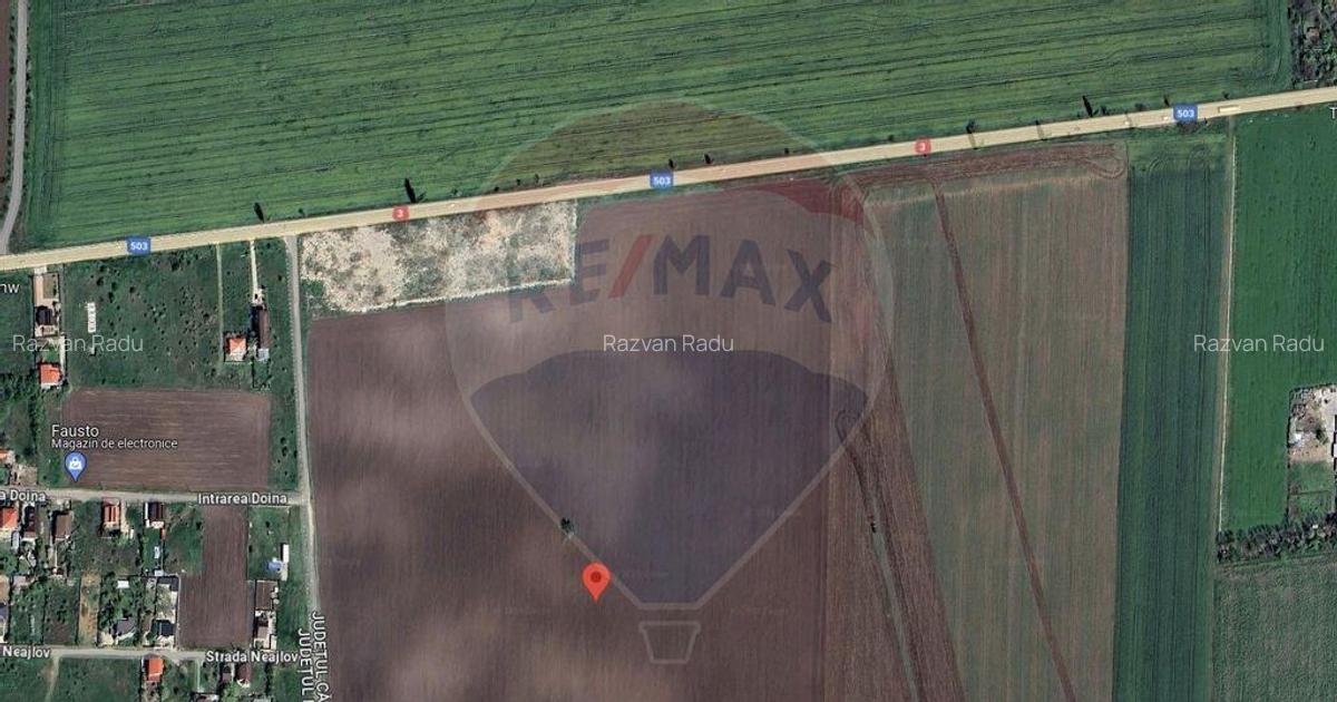 Teren Belciugatele, limita Branesti | DN 3 - 1