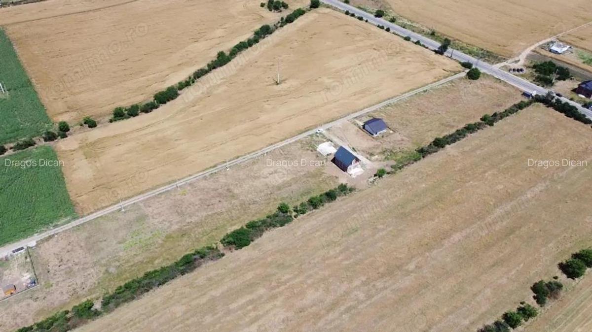 Lot Intravilan In Rate Com. Berceni | utilitati: curent/gaz | #MG4EBF - 1