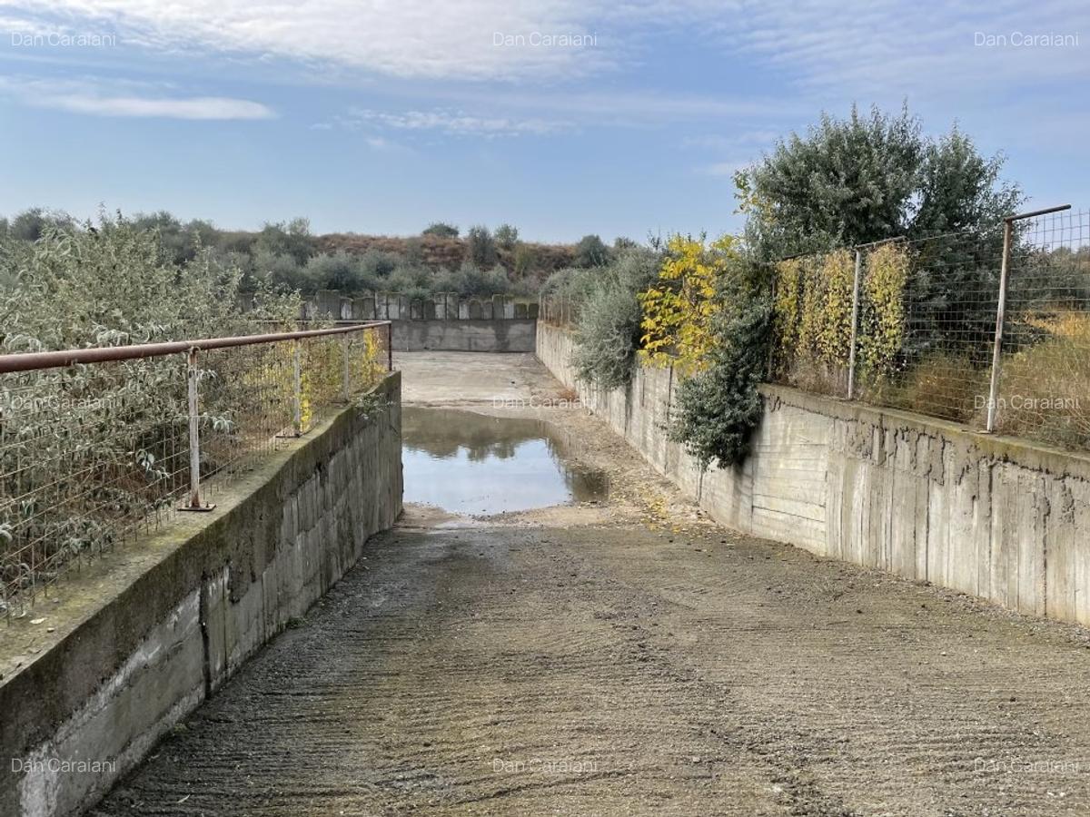 Ovidiu 6 ha teren intravilan construibil îngrădit și platforma betonata. - 11 Ovidiu 6 ha teren intravilan construibil îngrădit și platforma betonata. - 11