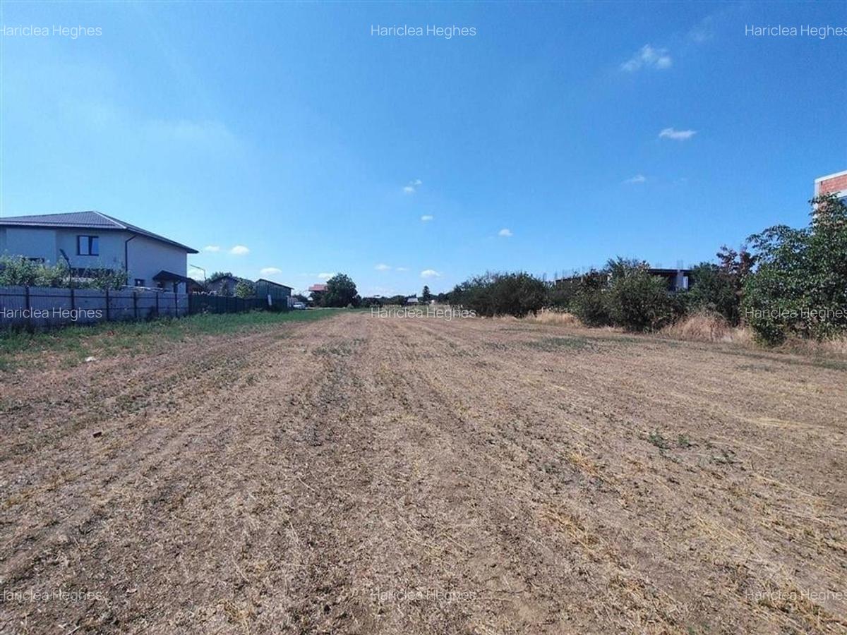 VANZARE TEREN INTRAVILAN  MAGURELE  2530 mp zona CODRULUI - 5