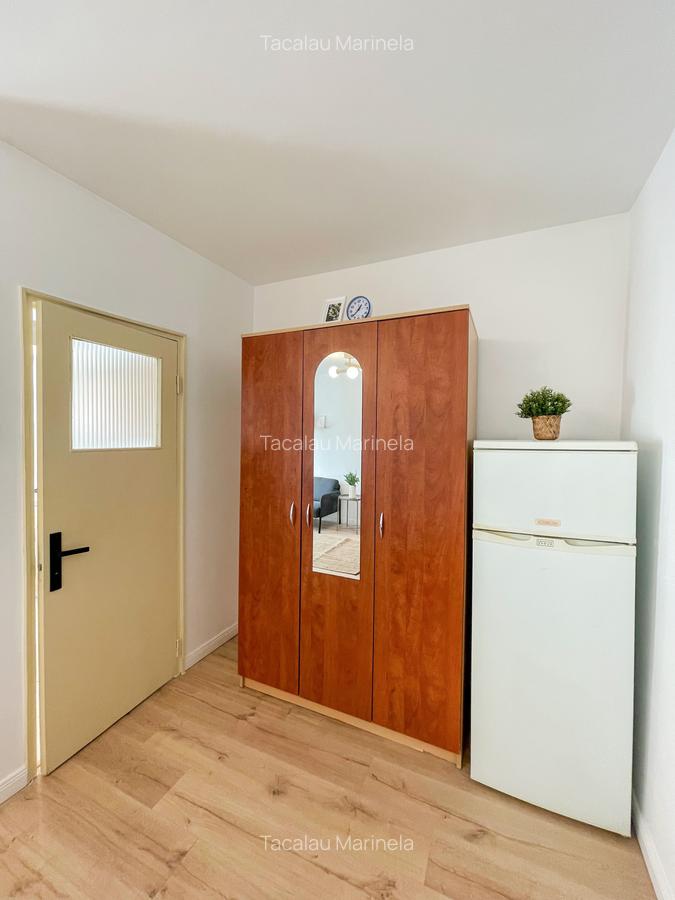 Garsoniera disponibila zona Piata Victoriei / Banu Manta - 13