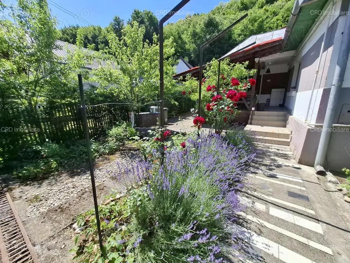 Str. Valea Rosie proprietate compusa din 2 imobile, casa P+M si una pe parter - 12