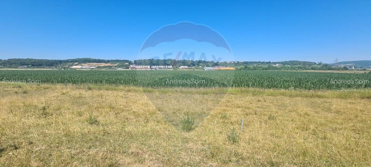 Vand teren Dej / Strada Dumbrava Rosie - 3
