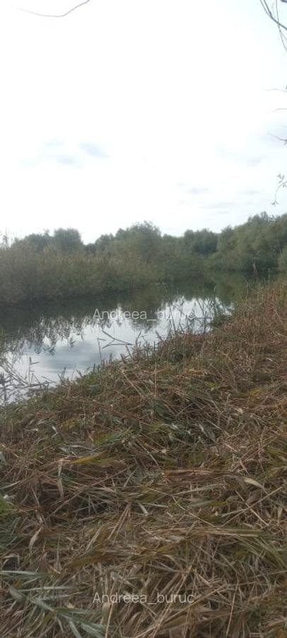 Casa si teren deschidere canal - 9