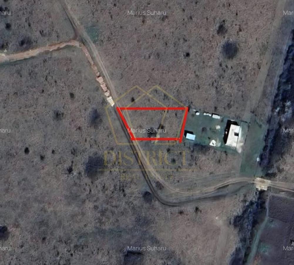 Teren Intravilan 703mp | Mosnita Noua | Centura | - 2