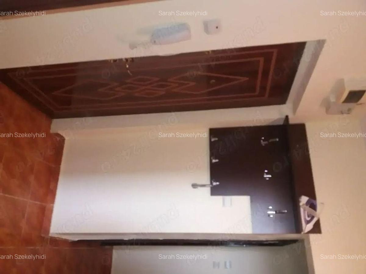 Inchiriez apartament 2 camere, Bvd. Camil Ressu, nr. 34, langa piata Ramnicu Sarat - 3