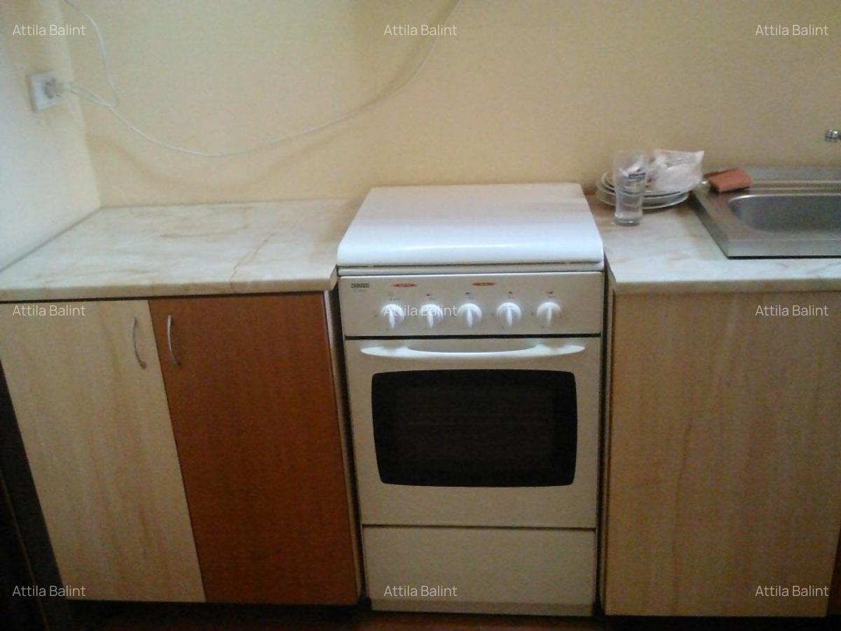 Lipovei- Pizzeria Thalia 2 cam 350 euro - 8