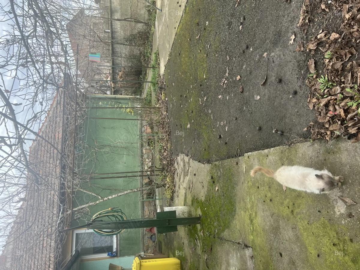 Vand casa cu teren GRADISTE-ARAD, str. Randunicii, nr 32, lzona excelenta, - 8 Vand casa cu teren GRADISTE-ARAD, str. Randunicii, nr 32, lzona excelenta, - 8