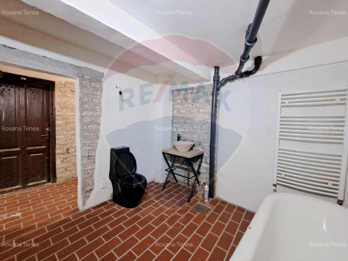 Spatiu comercial-Demisol-Atelier de arta - 2